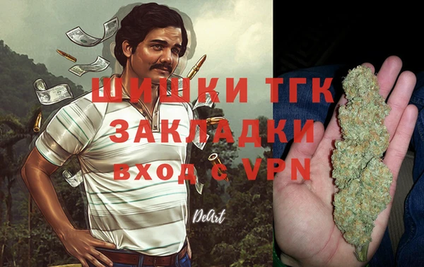 тгк Касимов