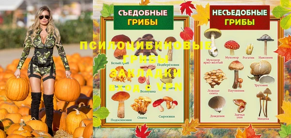 mdpv Кинешма