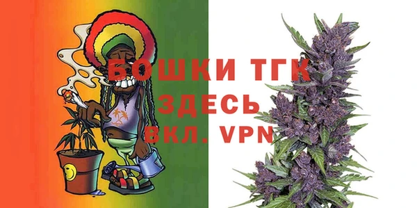 тгк Касимов