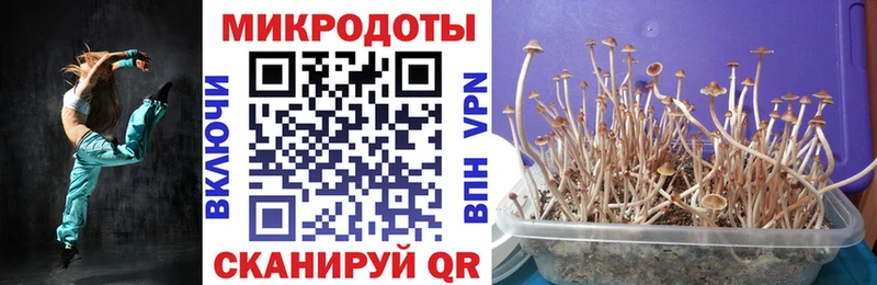 Галлюциногенные грибы GOLDEN TEACHER  Купить закладки  Гусь-Хрустальный 